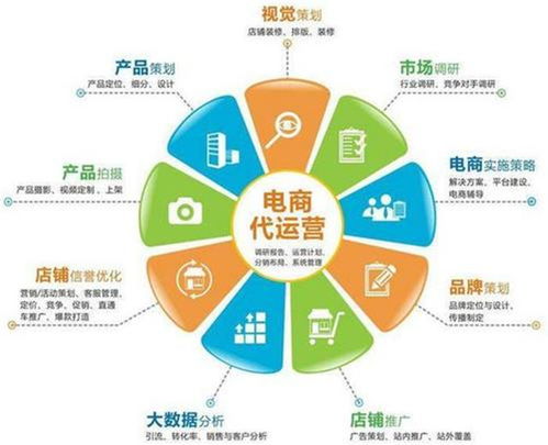 新創(chuàng)電子 安陽(yáng)淘寶代運(yùn)營(yíng)與電商幫運(yùn)營(yíng)的完美結(jié)合