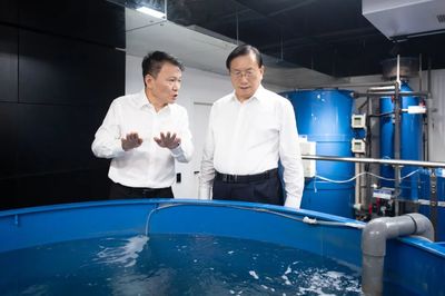 王忠林調研民營企業發展并召開座談會 深化技術推廣服務，激發民營經濟新動能